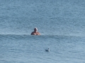 p1000877